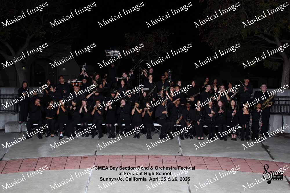 Musical Images